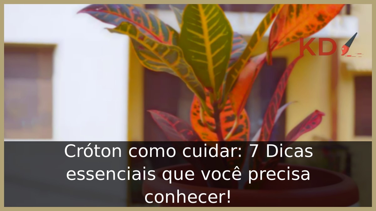Cróton como cuidar