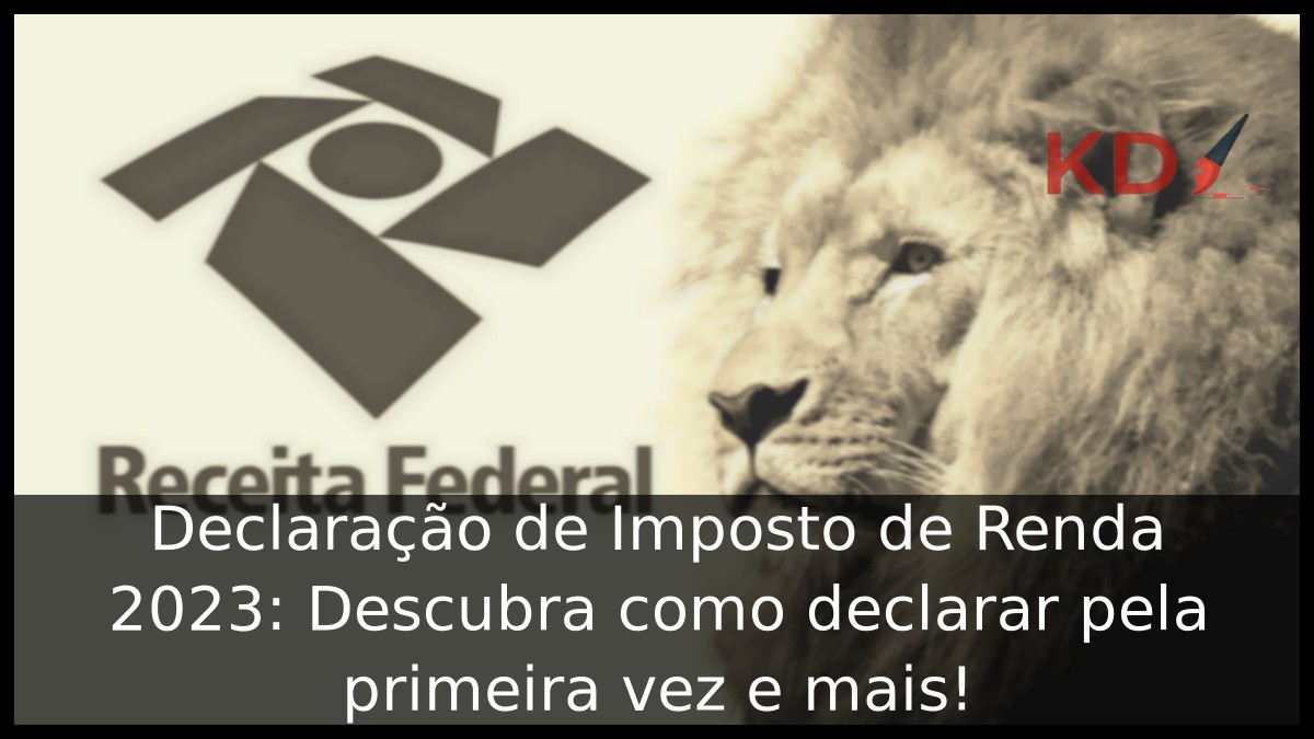 Declaração de Imposto de Renda 2023