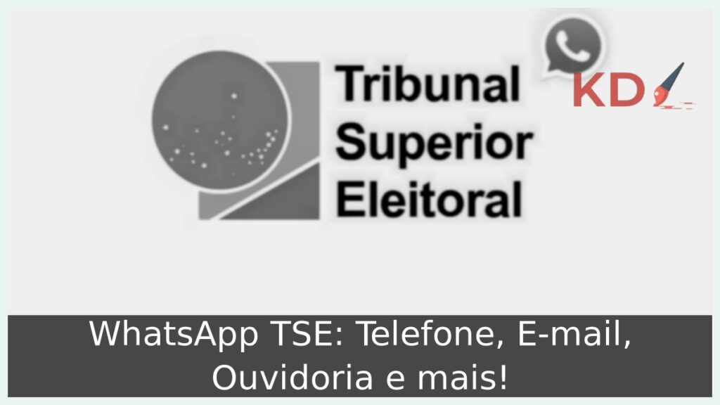WhatsApp TSE