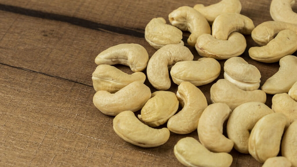 Como plantar caju: Confira dicas incríveis para poder cultivar em casa! 3 Castanhas de caju