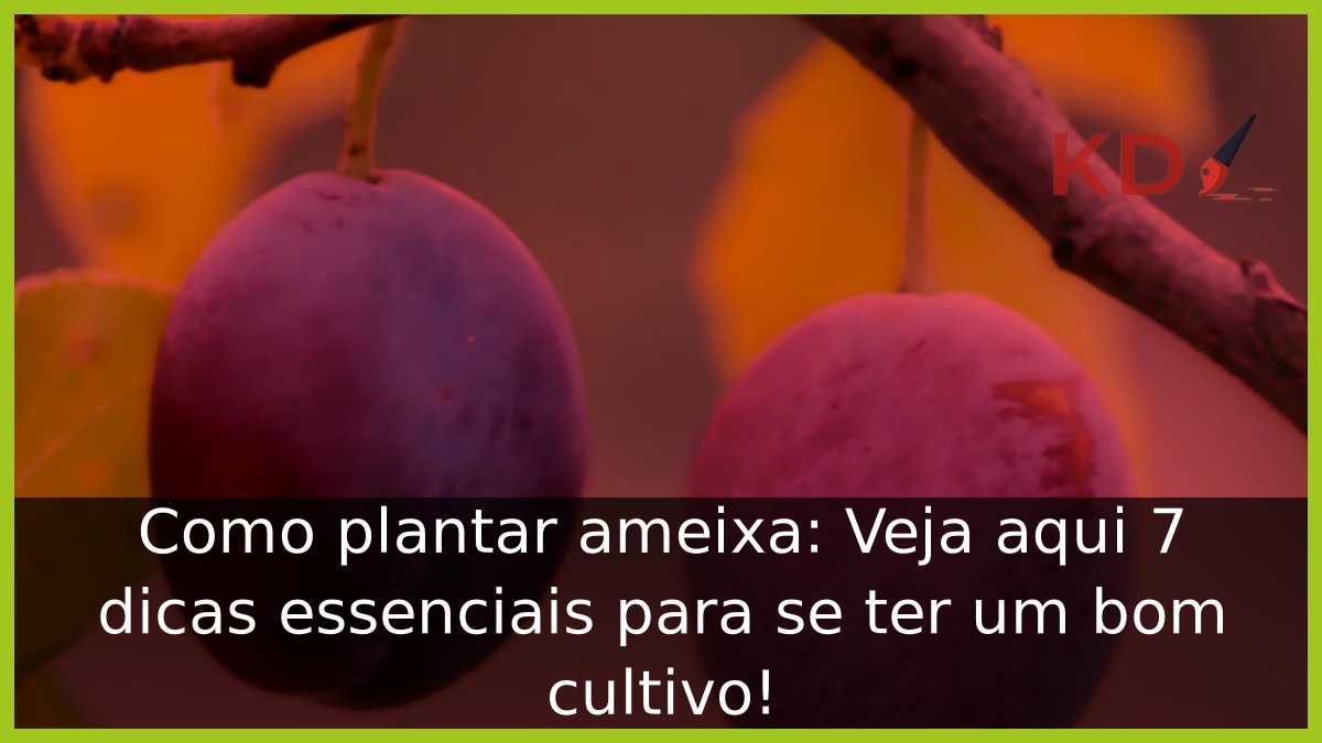 Como plantar ameixa