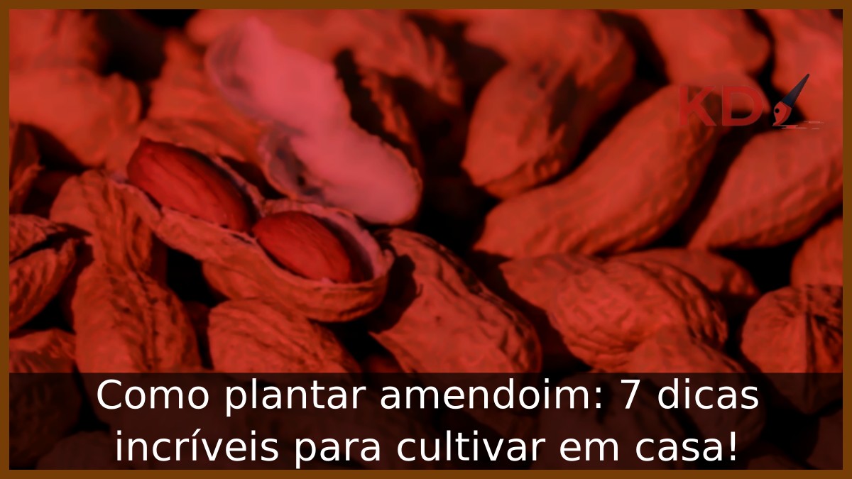 Como plantar amendoim