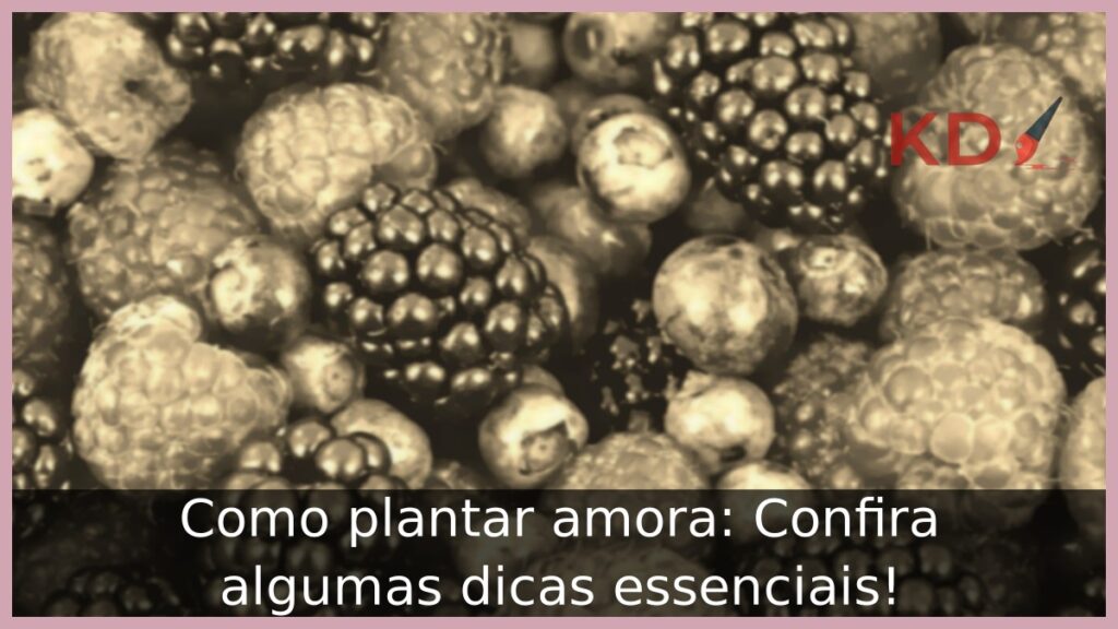 Como plantar amora: Confira algumas dicas essenciais! 1 Como plantar amora