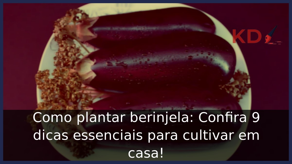 Como plantar berinjela