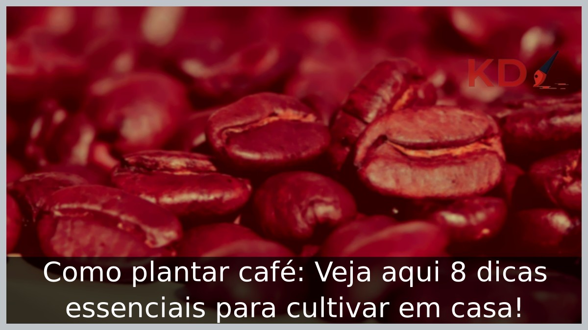 Como plantar café