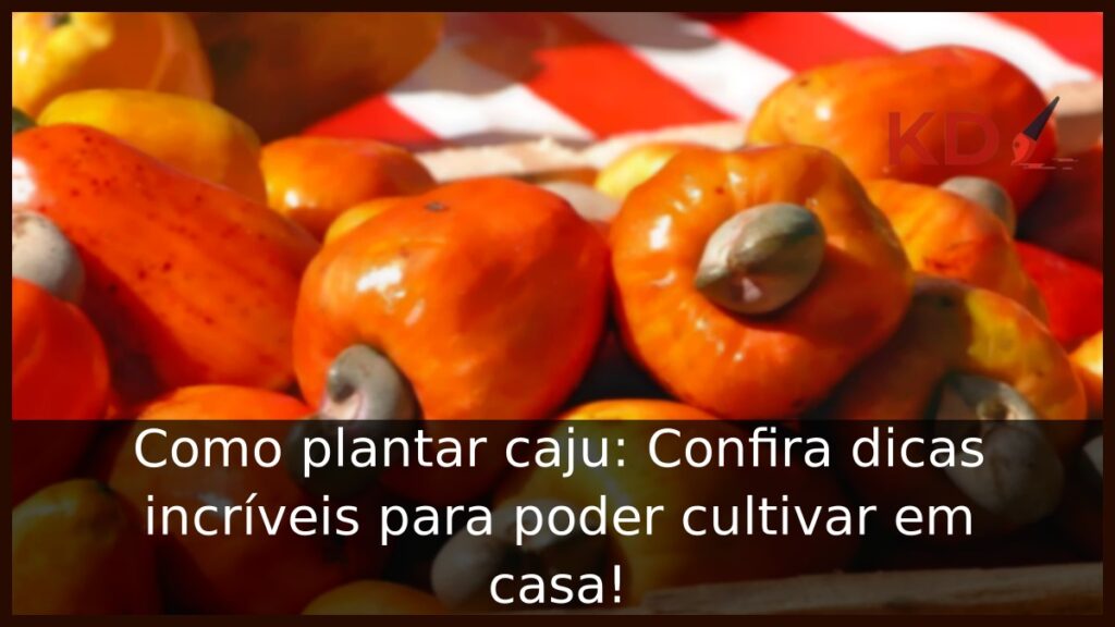 Como plantar caju: Confira dicas incríveis para poder cultivar em casa! 1 Como plantar caju