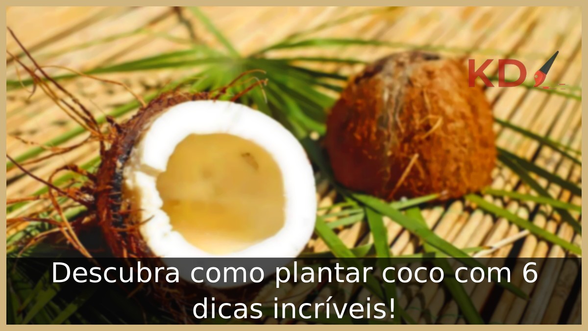 Como plantar coco