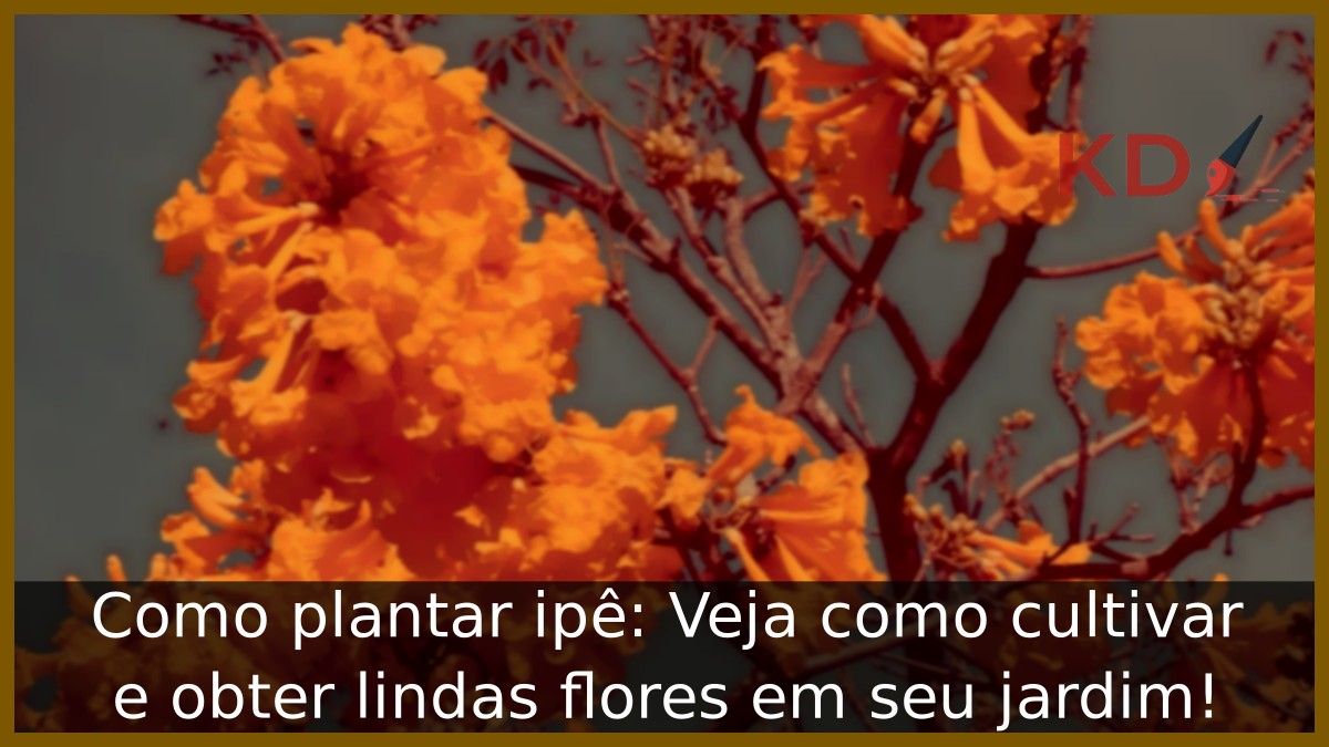 Como plantar ipê