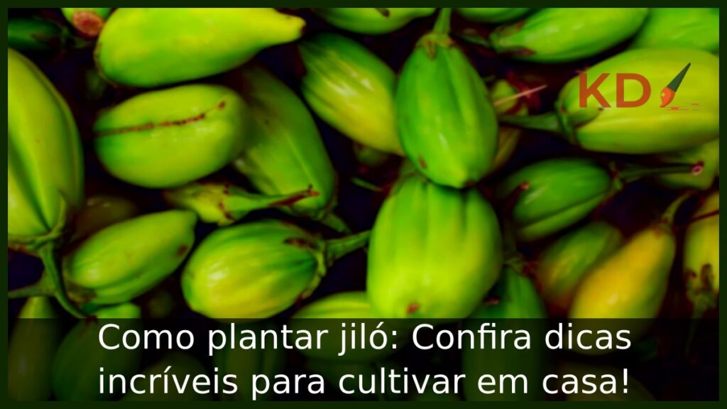 Como plantar jiló: Confira dicas incríveis para cultivar em casa! 1 Como plantar jiló