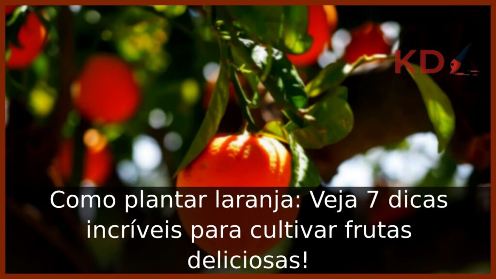 Como plantar laranja: Veja 7 dicas incríveis para cultivar frutas deliciosas! 1 Como plantar laranja