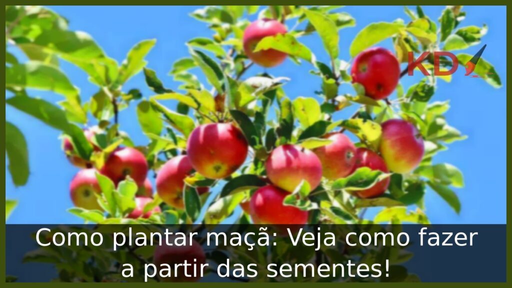 Como plantar maçã