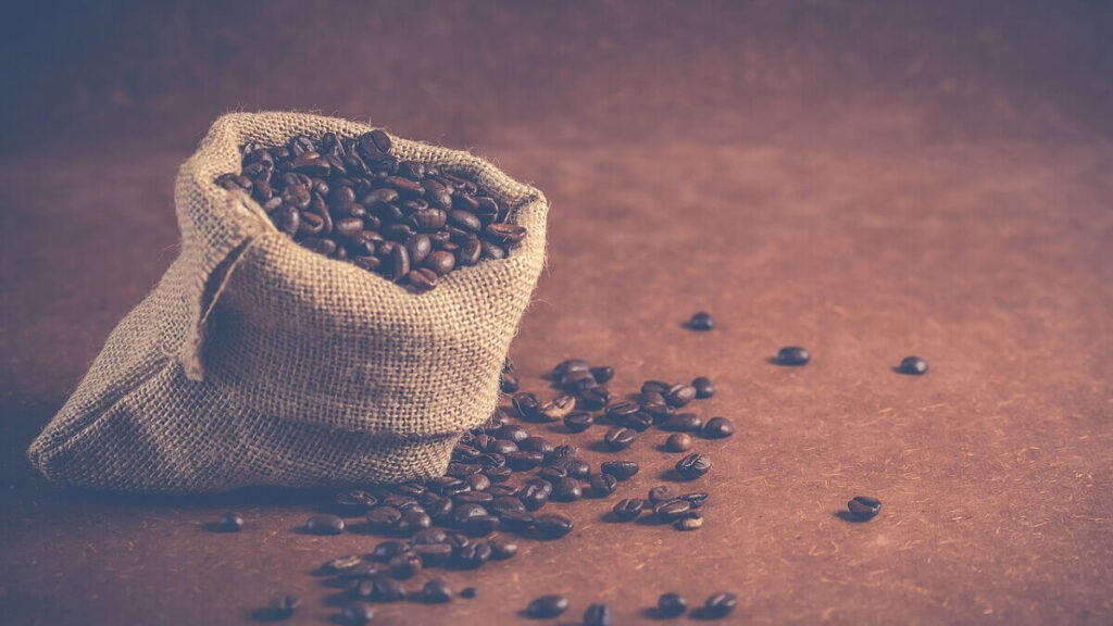 Como plantar café: Veja aqui 8 dicas essenciais para cultivar em casa! 3 Grãos de café em saco