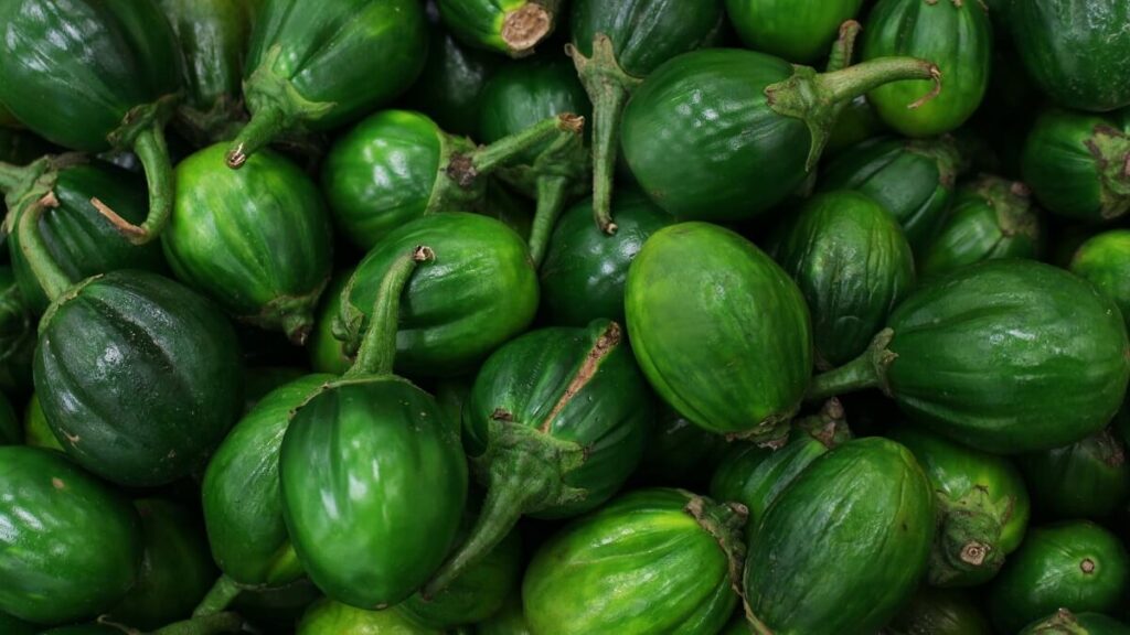 Como plantar jiló: Confira dicas incríveis para cultivar em casa! 3 Jiló verde
