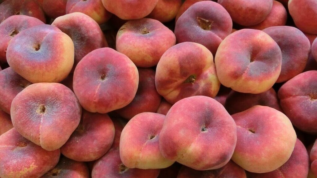 Como plantar pêssego: Veja 7 dicas valiosas para se obter um bom cultivo em casa! 4 Pêssegos maduros