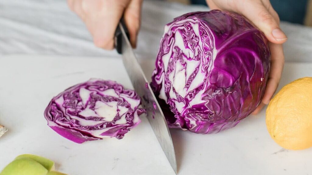 Como plantar repolho: Veja dicas incríveis para fazer em casa! 3 Repolho roxo