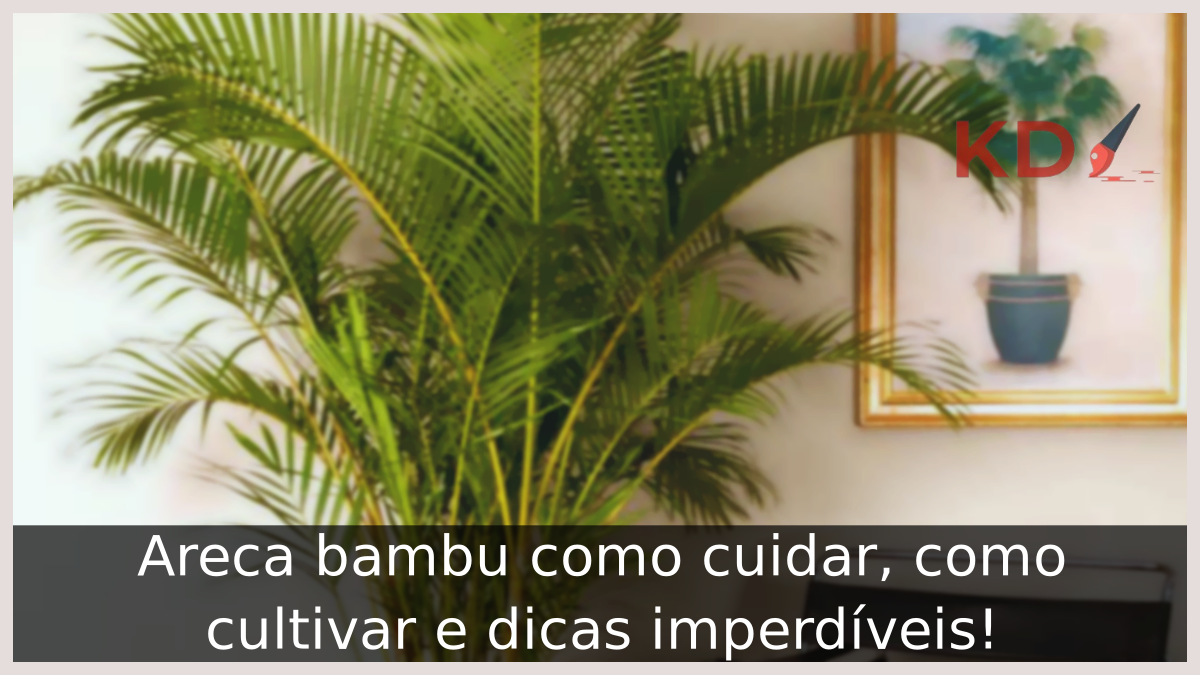 Areca bambu como cuidar