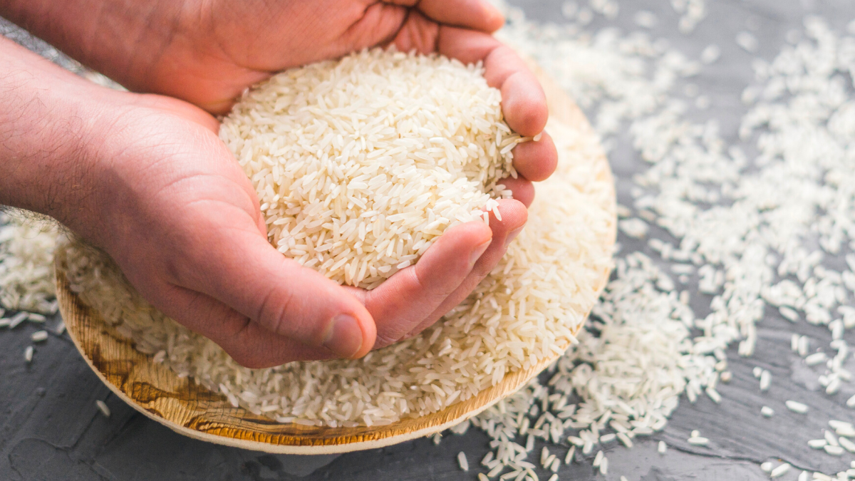 Como plantar arroz