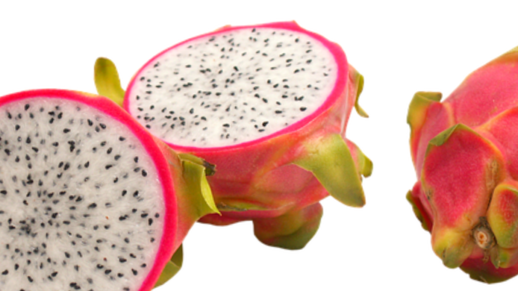 Como plantar pitaya no chão, dicas essenciais para cultivar a fruta do dragão! 1 Como plantar pitaya no chão