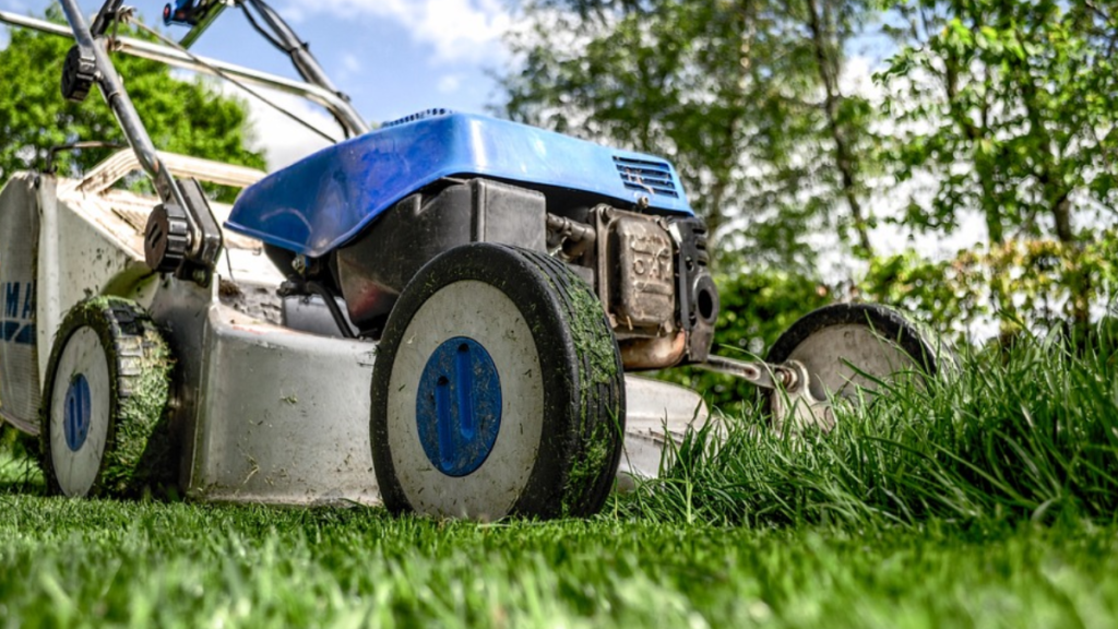 Como plantar grama, confira dicas para ter um gramado verde e saudável! 2 Cortador de grama