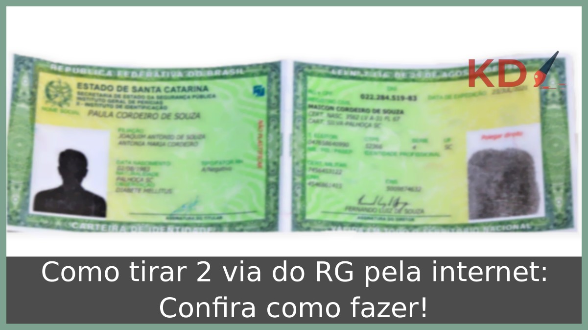 Como tirar 2 via do RG pela internet: Confira como fazer! - RG SC