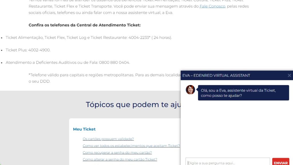 Print Screen do chat online com a Eva. 