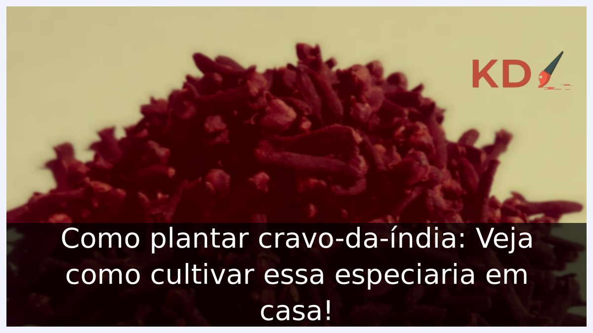 Como plantar cravo-da-índia