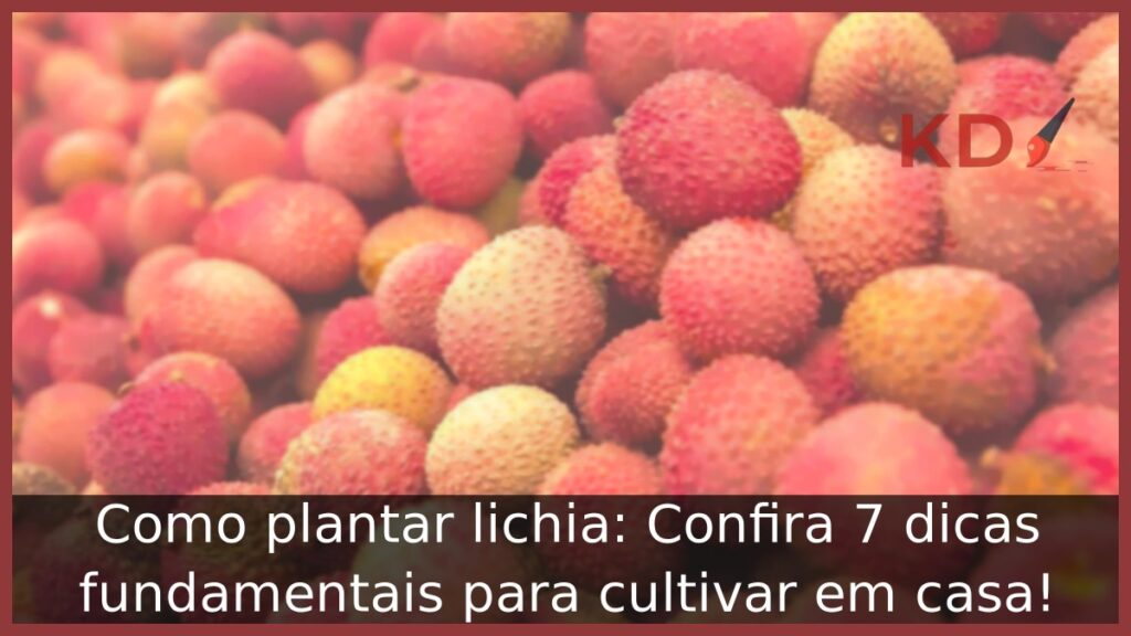 Como plantar lichia: Confira 7 dicas fundamentais para cultivar em casa! 1 Como plantar lichia