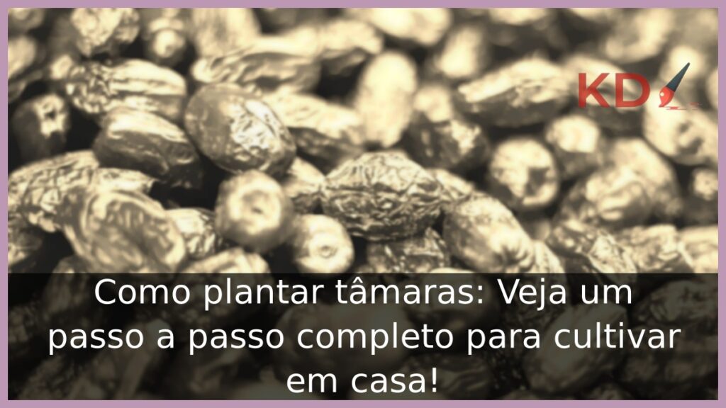 Como plantar tâmaras: Veja um passo a passo completo para cultivar em casa! 1 Como plantar tâmaras
