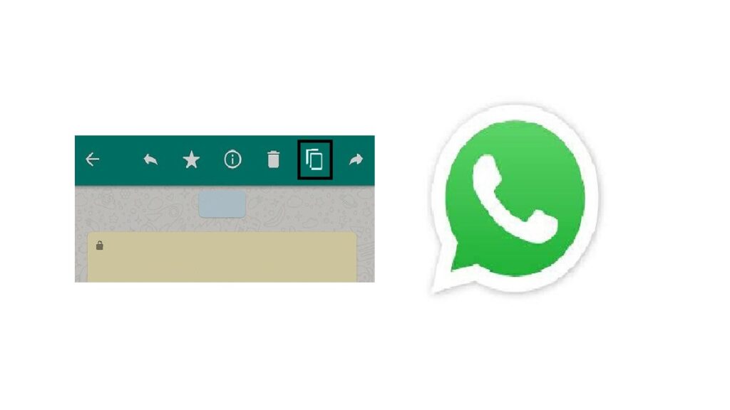 Como copiar e colar no WhatsApp: Veja como utilizar este recurso! 2 Print da opção de