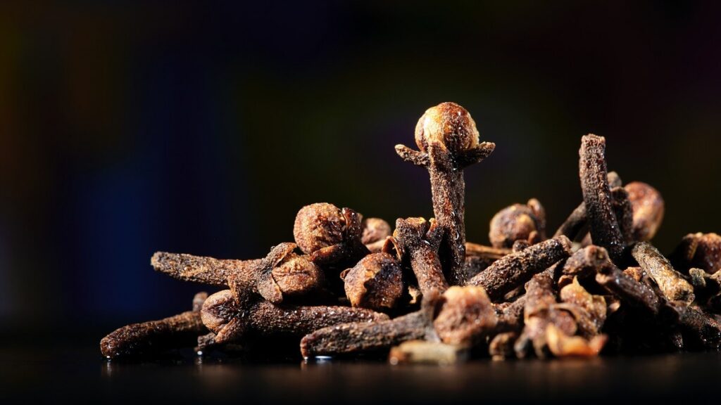 Como plantar cravo-da-índia: Veja como cultivar essa especiaria em casa! 2 Cravo-da-índia