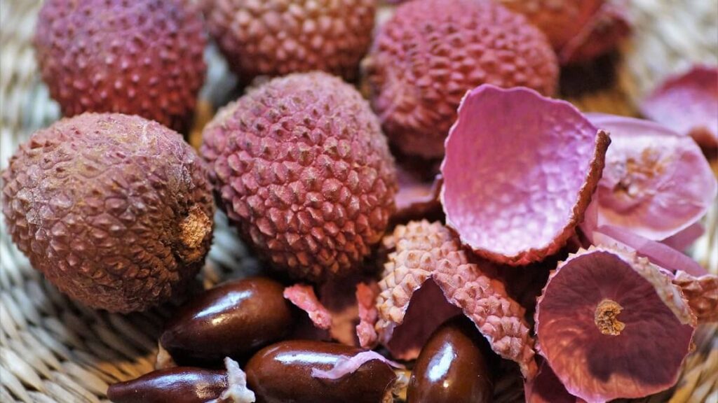 Como plantar lichia: Confira 7 dicas fundamentais para cultivar em casa! 2 Lichia