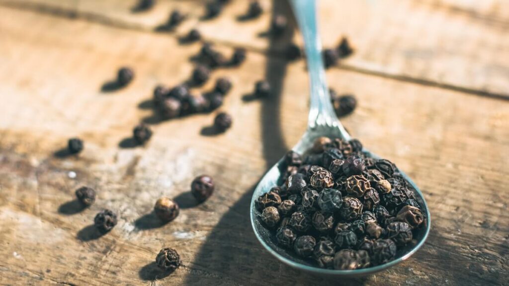 Como plantar pimenta-do-reino: Confira dicas incríveis para cultivar em casa! 3 Pimenta-do-reino
