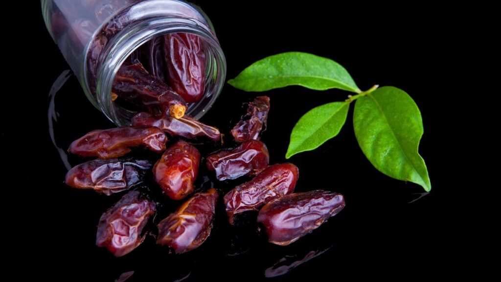Como plantar tâmaras: Veja um passo a passo completo para cultivar em casa! 2 Tâmaras no pote