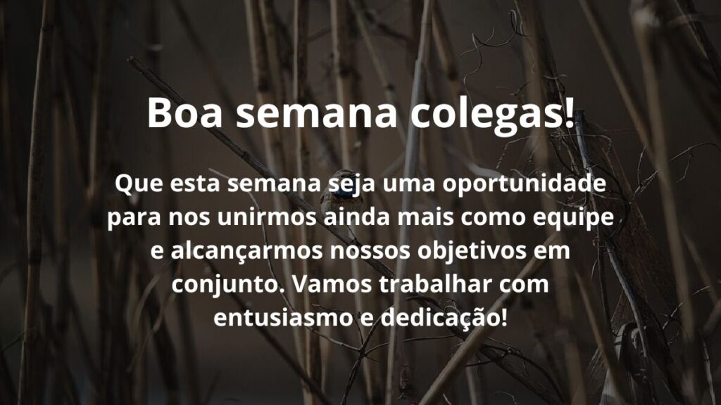 Mensagem de boa semana para WhatsApp: Confira algumas frases! 6 Boa semana colegas! Que esta semana seja uma oportunidade para nos unirmos ainda mais como equipe e alcançarmos nossos objetivos em conjunto. Vamos trabalhar com entusiasmo e dedicação!