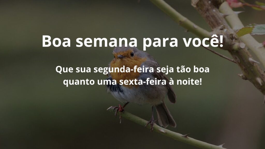 Mensagem de boa semana para WhatsApp: Confira algumas frases! 2 Boa semana para você! Espero que a sua segunda-feira seja tão boa quanto uma sexta-feira à noite!