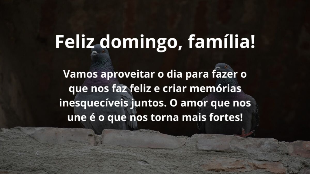 Feliz domingo, família! Vamos aproveitar o dia para fazer o que nos faz feliz e criar memórias inesquecíveis juntos. O amor que nos une é o que nos torna mais fortes!