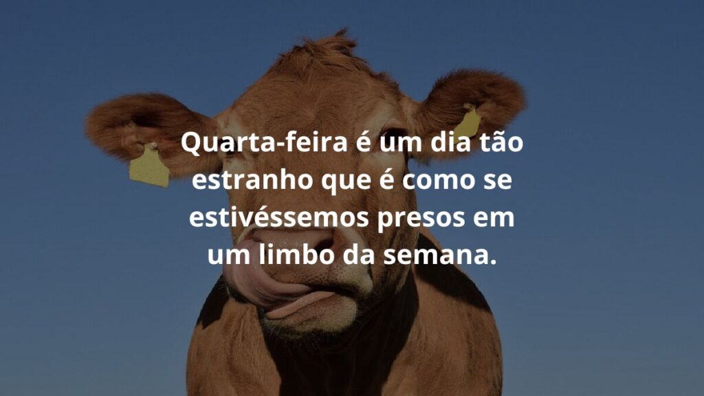 Mensagem de quarta feira para WhatsApp: Confira algumas frases! 2 Quarta-feira é um dia tão estranho que é como se estivéssemos presos em um limbo da semana.
