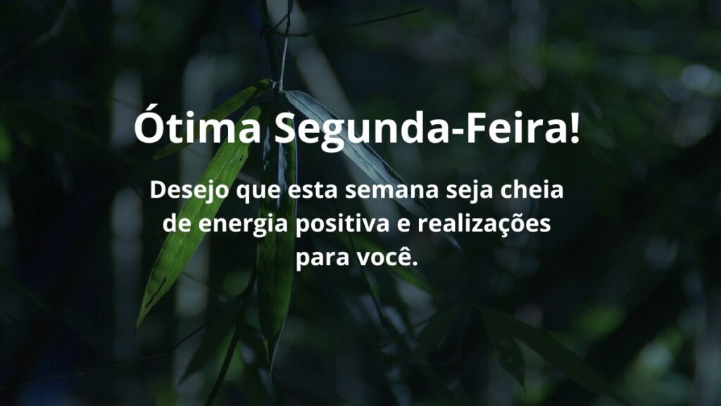 Ótima segunda feira! Desejo que esta semana seja cheia de energia positiva e realizações para você.