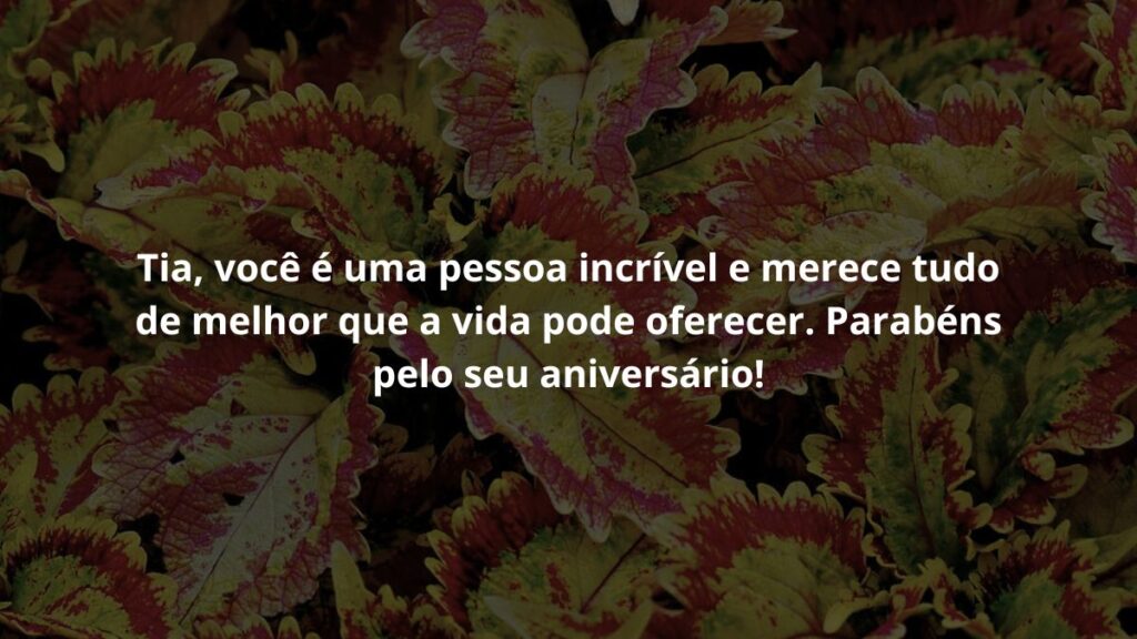 Tia, você é uma pessoa incrível e merece tudo de melhor que a vida pode oferecer. Parabéns pelo seu aniversário!