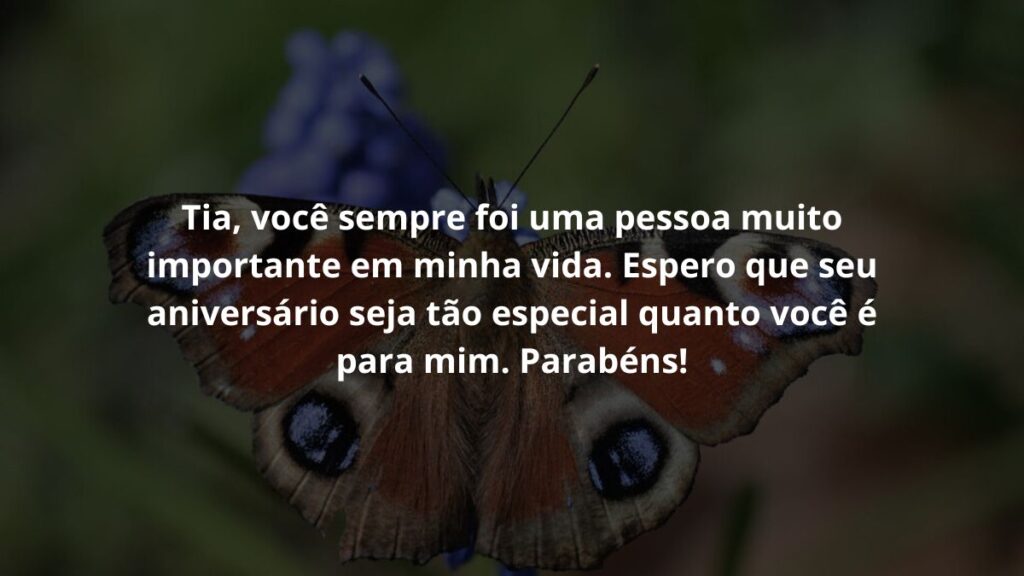 Tia, você sempre foi uma pessoa muito importante em minha vida. Espero que seu aniversário seja tão especial quanto você é para mim. Parabéns!