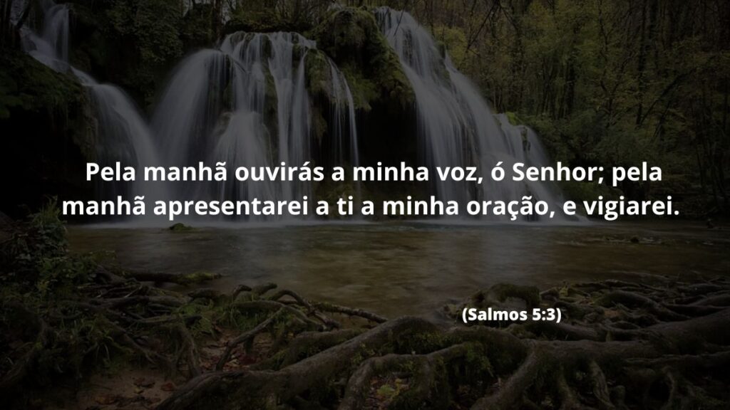 Versículo de bom dia para WhatsApp: Confira 40 opções! 6 Pela manhã ouvirás a minha voz, ó Senhor; pela manhã apresentarei a ti a minha oração, e vigiarei. (Salmos 5:3)