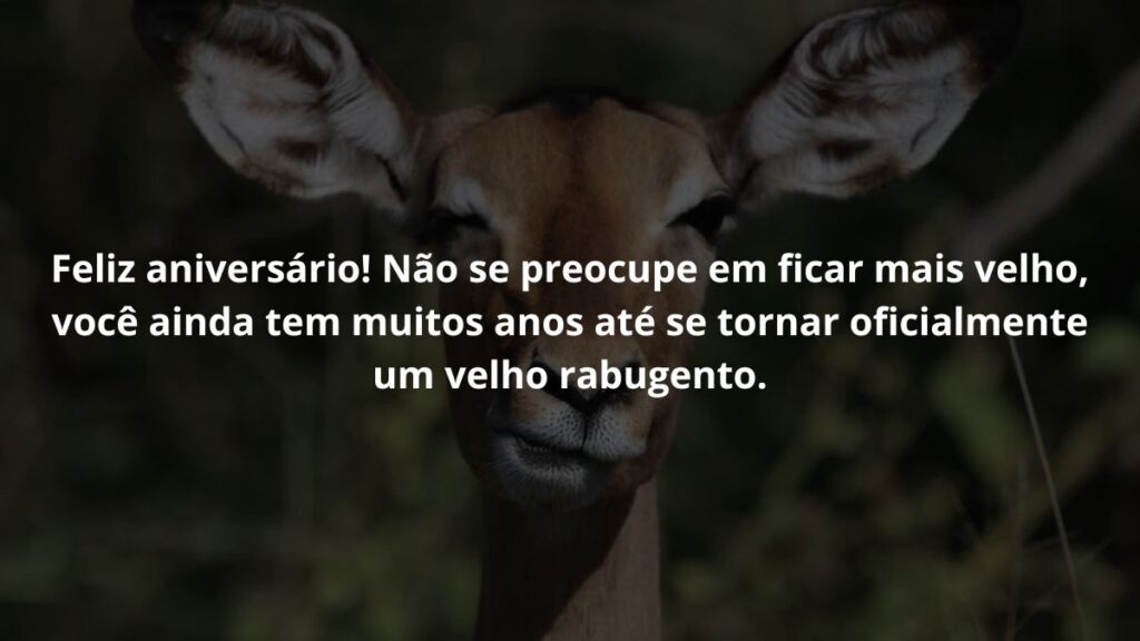 Mensagem de aniversário para amigo para WhatsApp: Confira 48 opções 5 Feliz aniversário! Não se preocupe em ficar mais velho, você ainda tem muitos anos até se tornar oficialmente um velho rabugento.