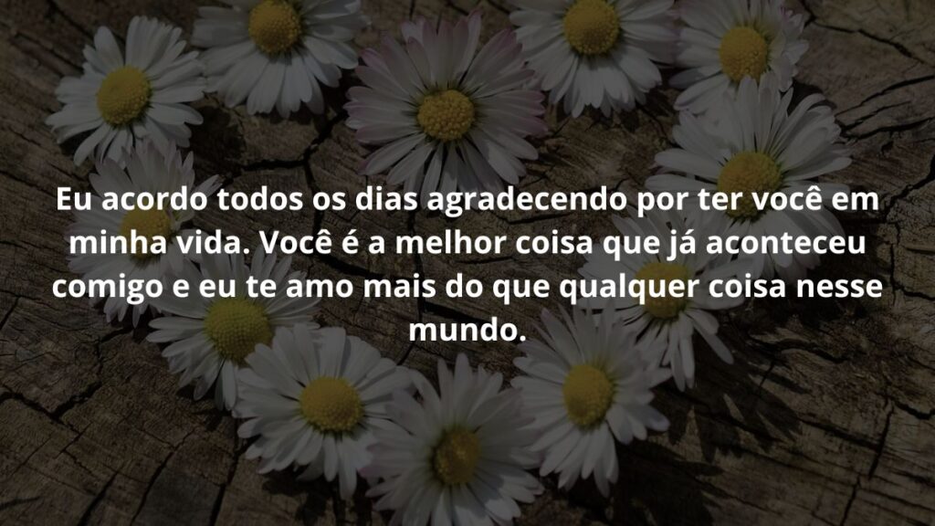 Mensagem de amor para WhatsApp: Confira 40 opções! 8 Eu acordo todos os dias agradecendo por ter você em minha vida. Você é a melhor coisa que já aconteceu comigo e eu te amo mais do que qualquer coisa nesse mundo.