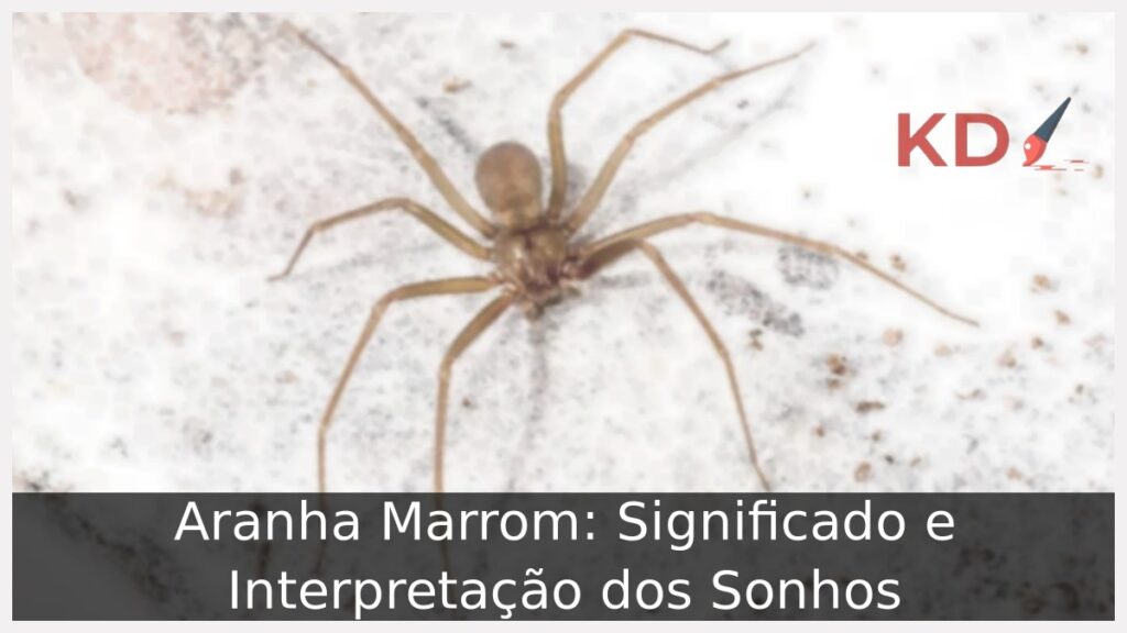 Sonhar com Aranha Marrom