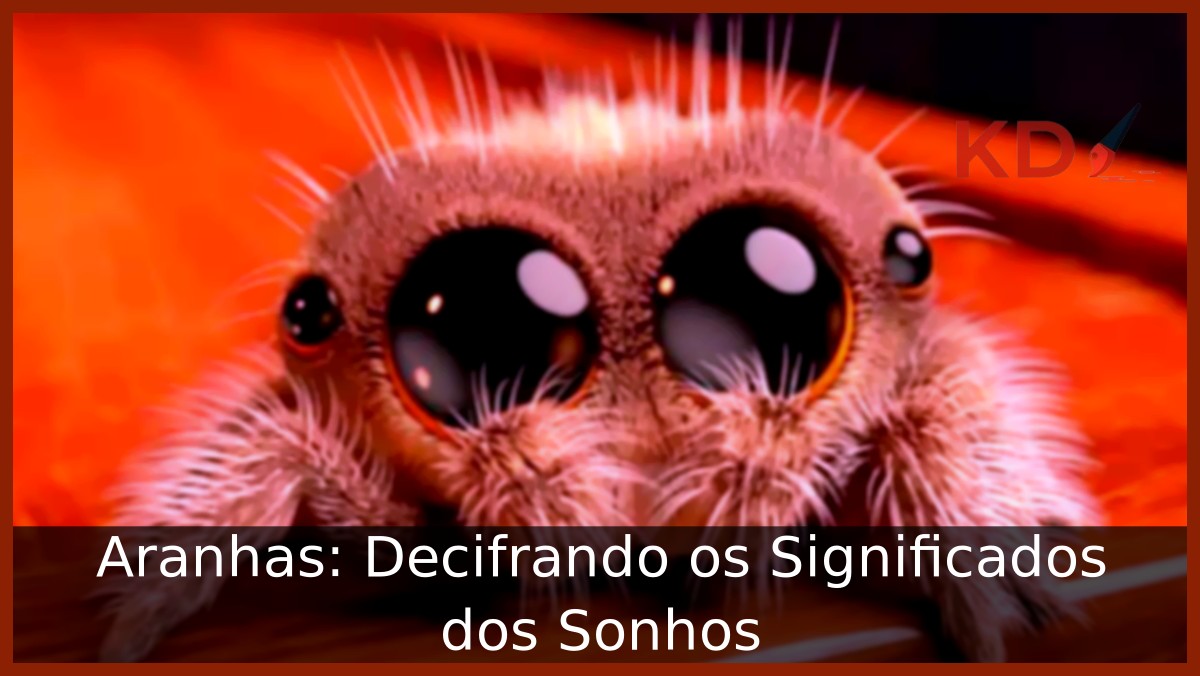 Sonhar com aranha