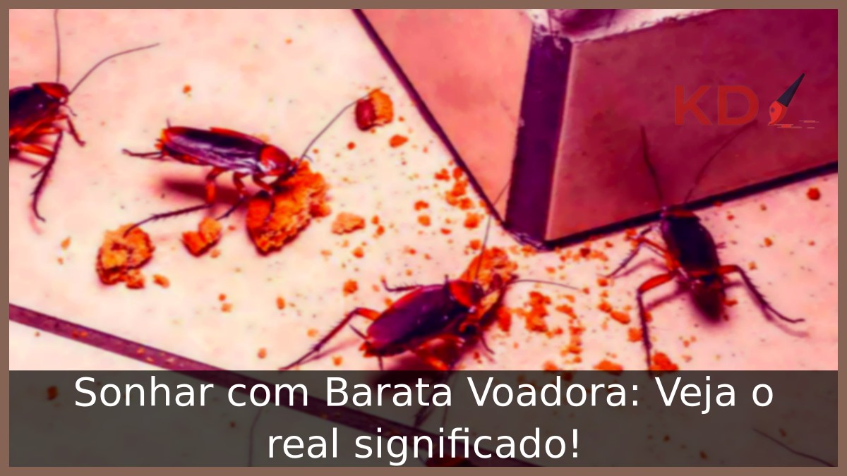 Sonhar com barata voadora