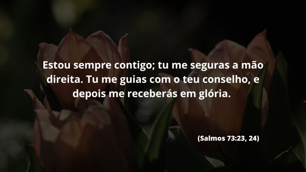 Estou sempre contigo; tu me seguras a mão direita. Tu me guias com o teu conselho, e depois me receberás em glória. (Salmos 73:23, 24) 