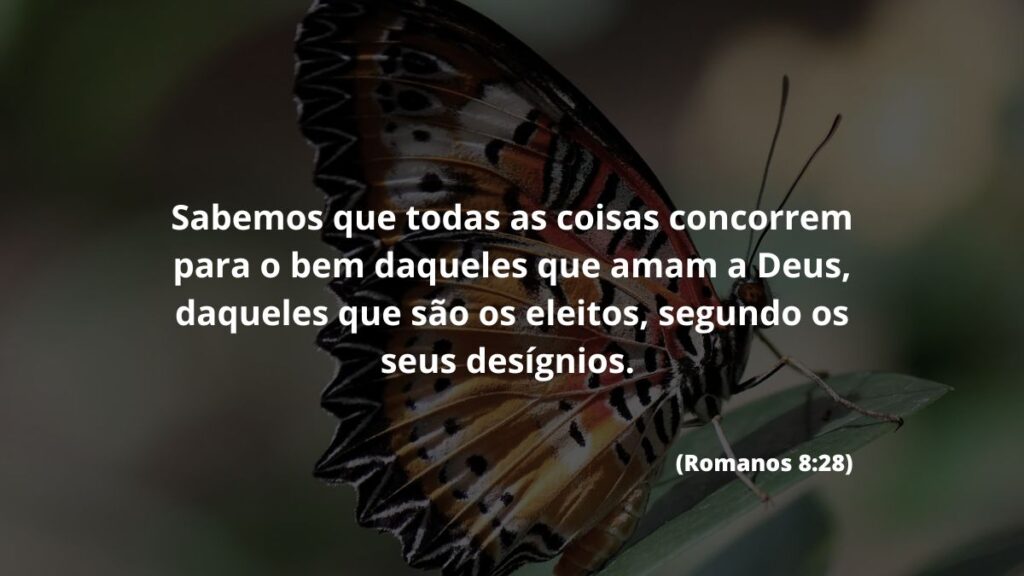 Sabemos que todas as coisas concorrem para o bem daqueles que amam a Deus, daqueles que são os eleitos, segundo os seus desígnios. (Romanos 8:28)