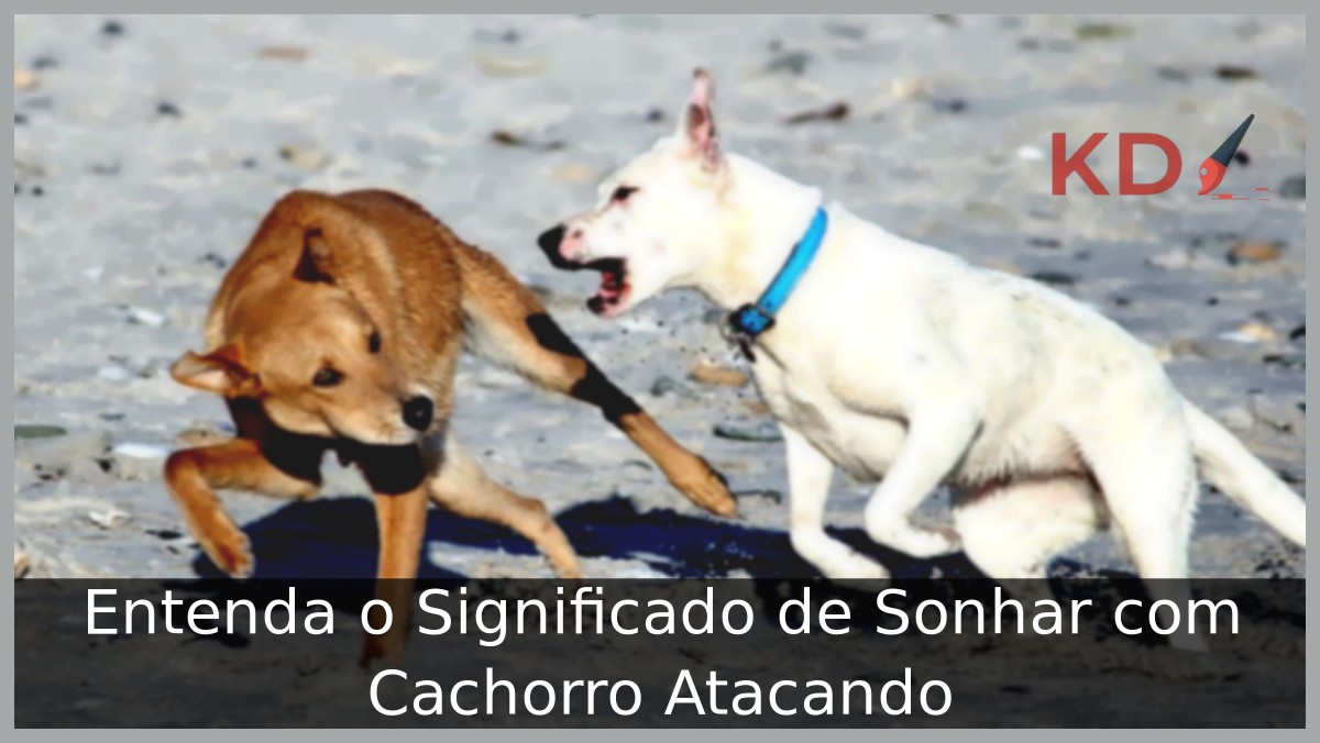 Sonhar com cachorro atacando