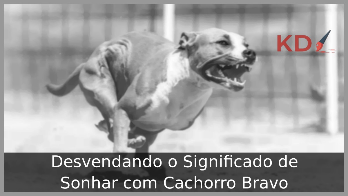 Sonhar com cachorro bravo